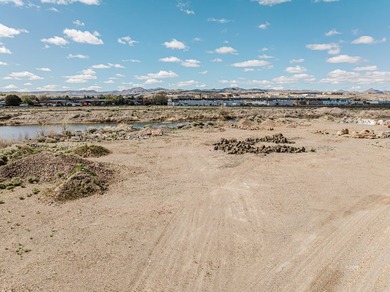 Situated between the railroad tracks and the Humboldt River - photo 39