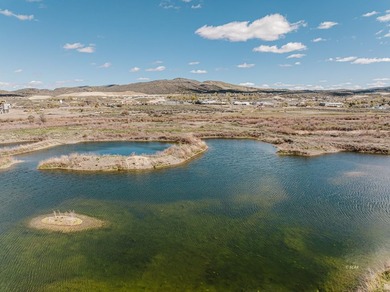 Situated between the railroad tracks and the Humboldt River - photo 48