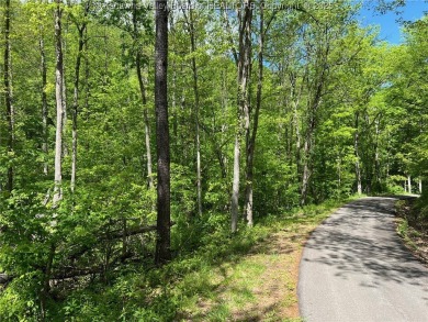 (private lake, pond, creek) Acreage For Sale in Alum Creek West Virginia