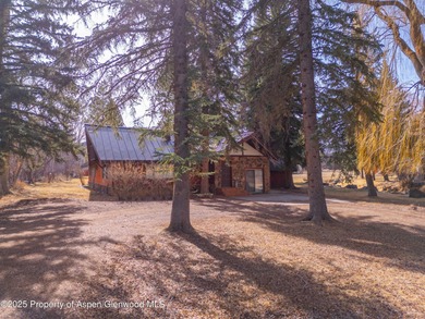 Opportunity to own a piece of Basalt's history with this mixed - photo 12