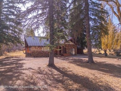 Opportunity to own a piece of Basalt's history with this mixed - photo 13