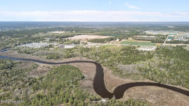 This exceptional undeveloped acreage offers a rare combination - photo 13
