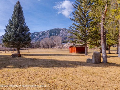Opportunity to own a piece of Basalt's history with this mixed - photo 14