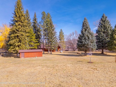 Opportunity to own a piece of Basalt's history with this mixed - photo 17
