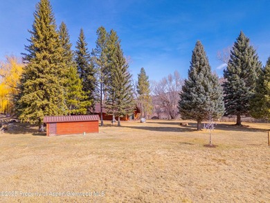 Opportunity to own a piece of Basalt's history with this mixed - photo 18