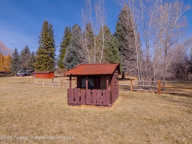 Opportunity to own a piece of Basalt's history with this mixed - photo 19