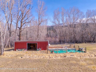 Opportunity to own a piece of Basalt's history with this mixed - photo 20
