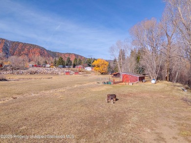 Opportunity to own a piece of Basalt's history with this mixed - photo 22