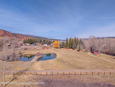 Opportunity to own a piece of Basalt's history with this mixed - photo 22