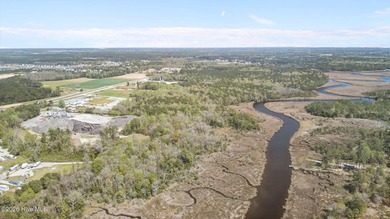 This exceptional undeveloped acreage offers a rare combination - photo 22