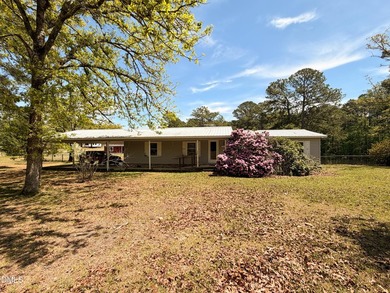 (private lake, pond, coastal) Home For Sale in Cameron North Carolina