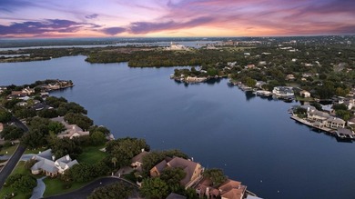 This stunning estate on Lake LBJ is the epitome of lakeside - photo 10