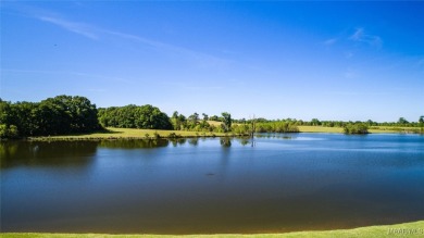Lake Lot For Sale in Pike Road, Alabama