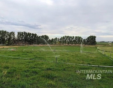 This well-maintained 3-bedroom, 2-bathroom brick home sits on 5