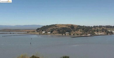 OPPORTUNITY ZONE! Total ~9.34 ACRES stunning and expansive bay - photo 2