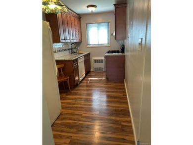 Lovely One bedroom (End Unit )Lower level Coop, Plenty of - photo 5