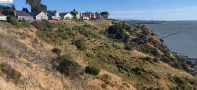 OPPORTUNITY ZONE! Total ~9.34 ACRES stunning and expansive bay - photo 6