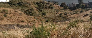 OPPORTUNITY ZONE! Total ~9.34 ACRES stunning and expansive bay - photo 7