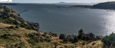 OPPORTUNITY ZONE! Total ~9.34 ACRES stunning and expansive bay - photo 8