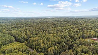 45 ACRES OF PRIME HUNTING LAND NEAR LAKE BARKLEY! Discover the - photo 11