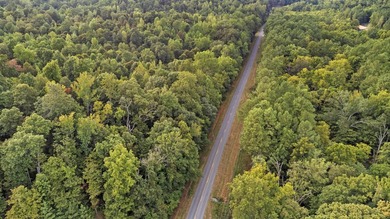 45 ACRES OF PRIME HUNTING LAND NEAR LAKE BARKLEY! Discover the - photo 14