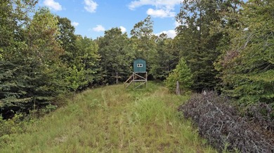 45 ACRES OF PRIME HUNTING LAND NEAR LAKE BARKLEY! Discover the - photo 16