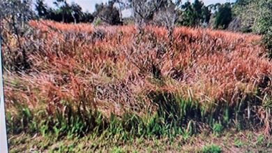 Northport Waterway Lakes and Canals Lot For Sale in North Port Florida