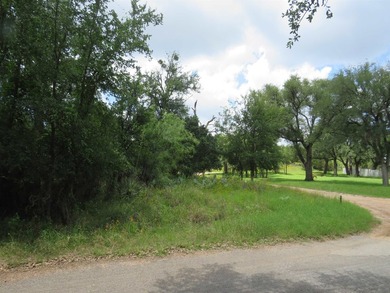 Lot in Buena Vista Subdivision. Access to constant level - photo 1