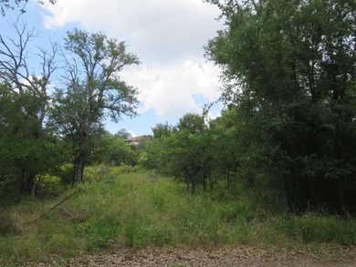Lot in Buena Vista Subdivision. Access to constant level - photo 3
