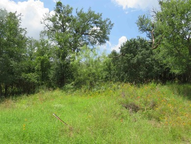Lot in Buena Vista Subdivision. Access to constant level - photo 4