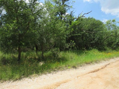 Lot in Buena Vista Subdivision. Access to constant level - photo 5