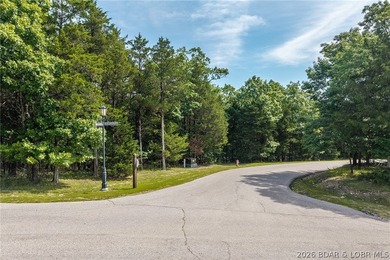 Surrounded by mature trees and natural Ozarks beauty, this - photo 11
