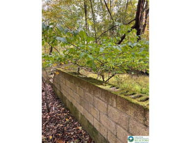 Lakefront 0.45 acre vacant land. Never been soil tested. Might - photo 1