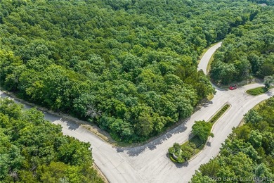 Surrounded by mature trees and natural Ozarks beauty, this - photo 12