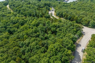 Surrounded by mature trees and natural Ozarks beauty, this - photo 13