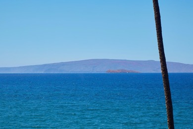 FABULOUS world class Wailea Point *double* unit with a MOST - photo 13