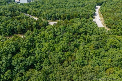 Surrounded by mature trees and natural Ozarks beauty, this - photo 14