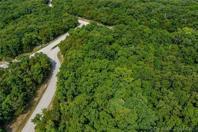 Surrounded by mature trees and natural Ozarks beauty, this - photo 15