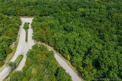 Surrounded by mature trees and natural Ozarks beauty, this - photo 16