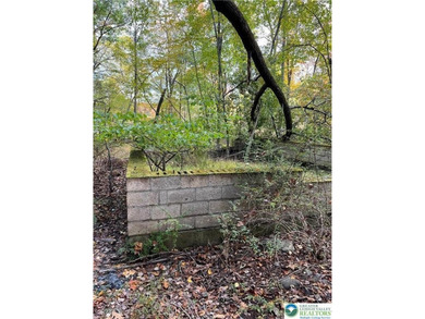 Lakefront 0.45 acre vacant land. Never been soil tested. Might - photo 6