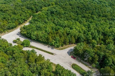 Surrounded by mature trees and natural Ozarks beauty, this - photo 17