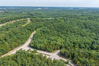 Surrounded by mature trees and natural Ozarks beauty, this - photo 18