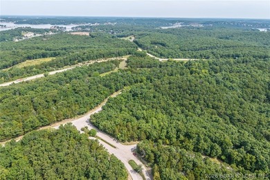 Surrounded by mature trees and natural Ozarks beauty, this - photo 19