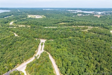 Surrounded by mature trees and natural Ozarks beauty, this - photo 20