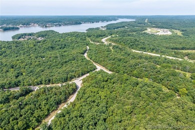 Surrounded by mature trees and natural Ozarks beauty, this - photo 21