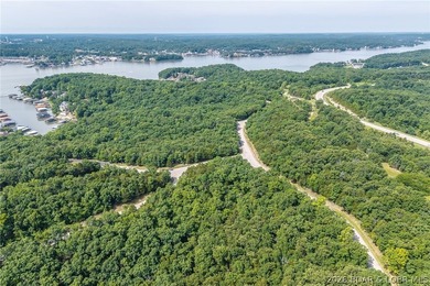 Surrounded by mature trees and natural Ozarks beauty, this - photo 22