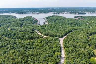 Surrounded by mature trees and natural Ozarks beauty, this - photo 23