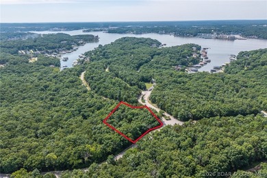 Surrounded by mature trees and natural Ozarks beauty, this - photo 24