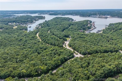 Surrounded by mature trees and natural Ozarks beauty, this - photo 25