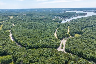 Surrounded by mature trees and natural Ozarks beauty, this - photo 26